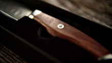 Load image into Gallery viewer, Brisket Carving Knife (Case Quantity 4 units)